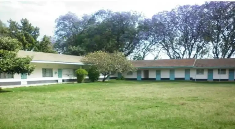 Courses Offered At Methodist College Of Health Sciences