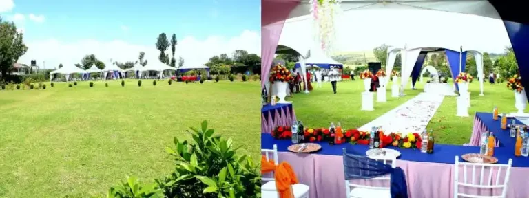 Infinite Green Events Garden