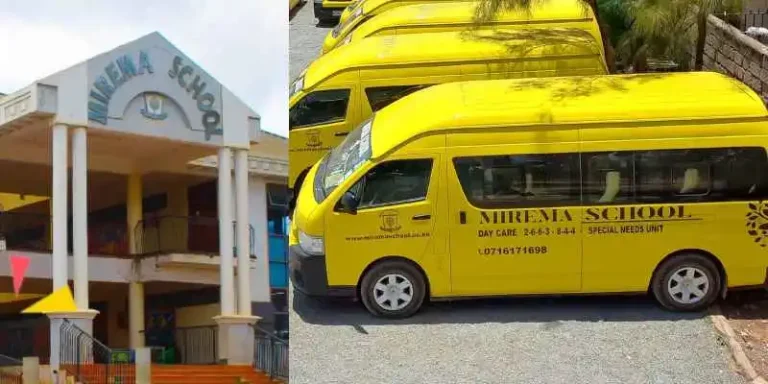 Mirema School