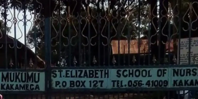 St Elizabeth School Of Nursing Mukumu