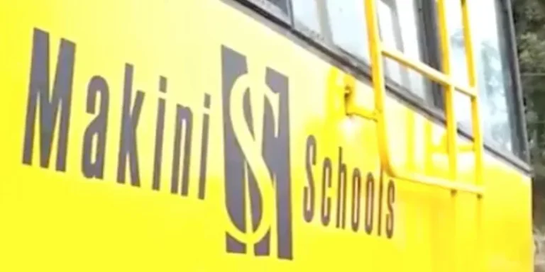 Makini High School