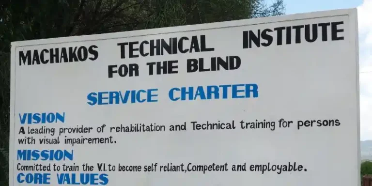 Machakos Technical Institute For The Blind Courses