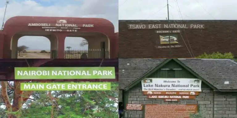 Kenya Wildlife Service Park Fees