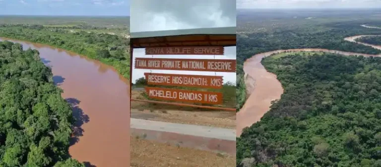 Tana River National Primate Reserve