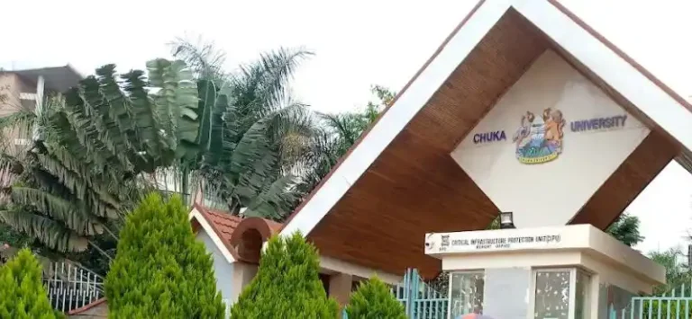 Chuka University Nursing Fee Structure