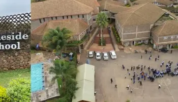Braeside Lavington Fee Structure 2025