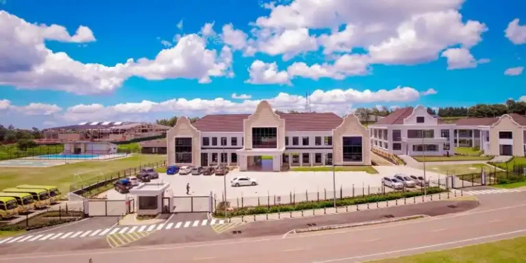 Naisula School Tilisi