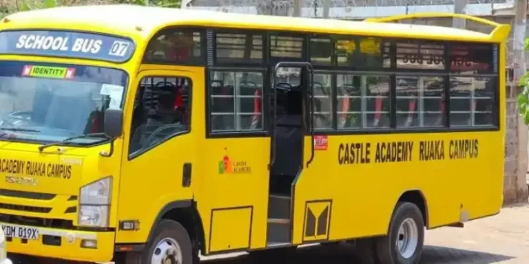 Castle Academy Ruaka