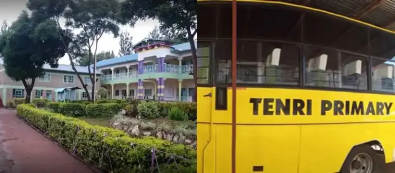 Tenri Primary School