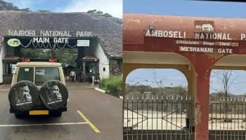 New Kenya Wildlife Service Park Fees 2025