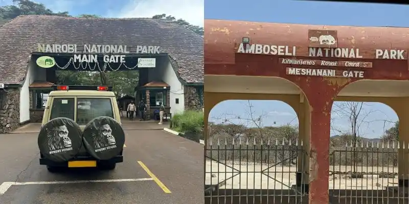 New Kenya Wildlife Service Park Fees