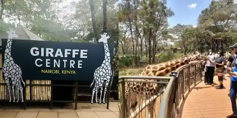 The Giraffe Centre Nairobi