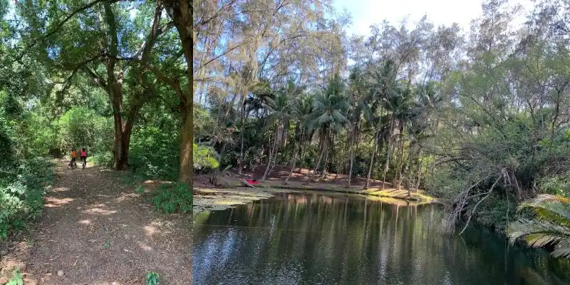 Bamburi Forest Trails