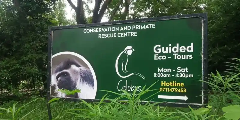 Colobus Conservation Diani