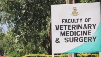 Institutions Approved To Offer Veterinary Medicine In Kenya
