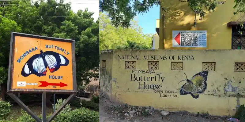 Mombasa Butterfly House