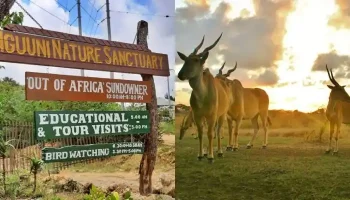 Nguuni  Nature  Sanctuary Entrance Fees